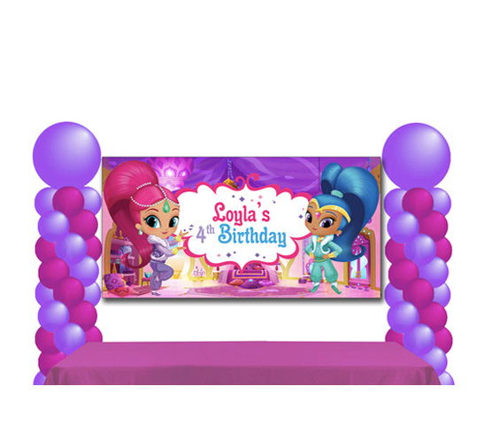 Shimmer and Shine Birthday Banner Party Backdrop 42 x 36