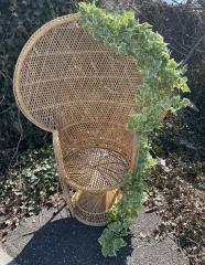 Natural Brown Wicker Chair with Greenery