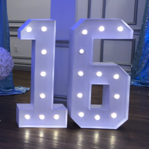 Set of TWO Marquee Numbers for Rent