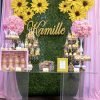 Sunflower Dessert Table Package The Brat Shack