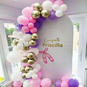Ballerina theme Wall Panel Backdrop with Balloon Garland The Brat Shack