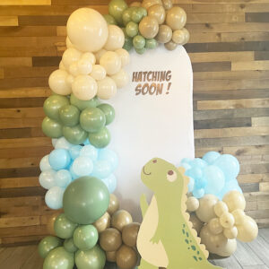 Dinosaur theme Wall Panel Backdrop with Balloon Garland The Brat Shack