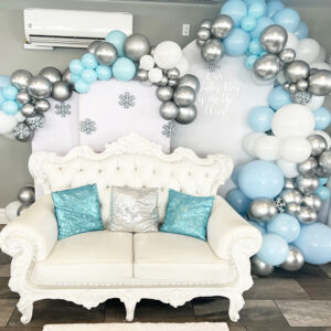 Winter Wall Panel Backdrop Set Up Balloon Garland The Brat Shack