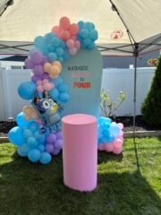Bluey Balloon Garland