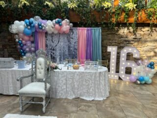 winter wonderland backdrop