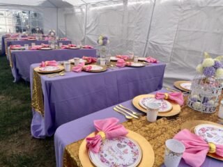 Butterfly Baby Shower Set up
