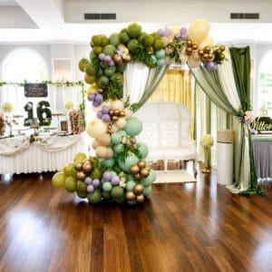 deluxe enchanted canopy package